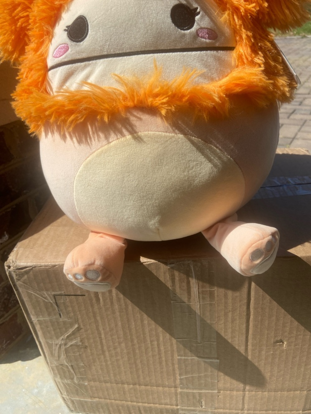 SQUISHMALLOW SHASTA with Flower Accent - Picture 5 of 6
